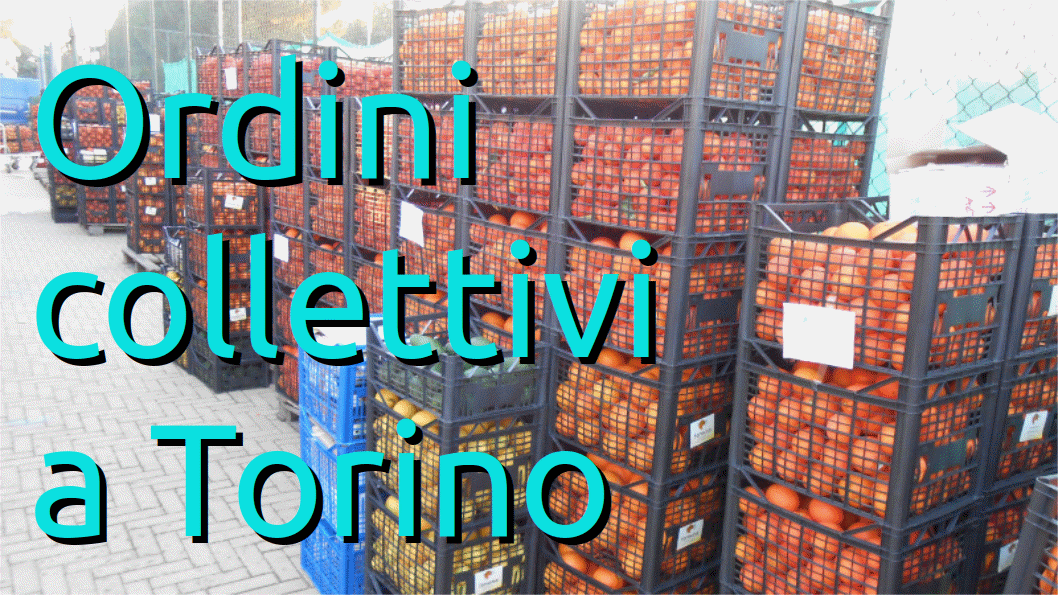 Ordini collettivi Torino