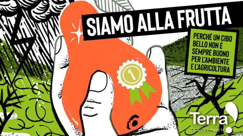 Siamo alla frutta