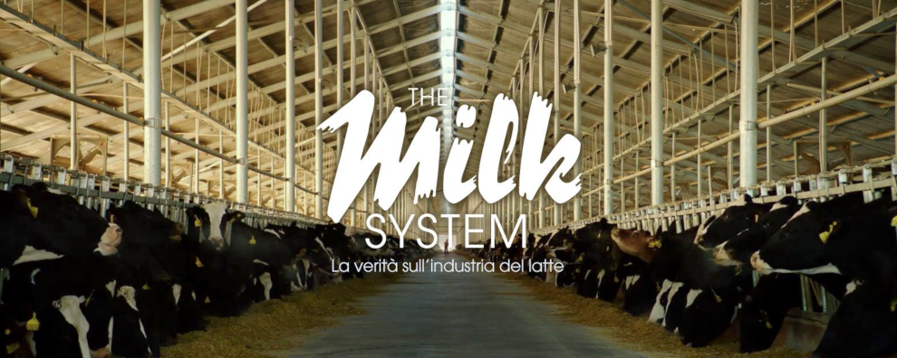 The Milk System